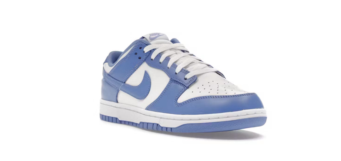 Nike Dunk Low Polar Blue