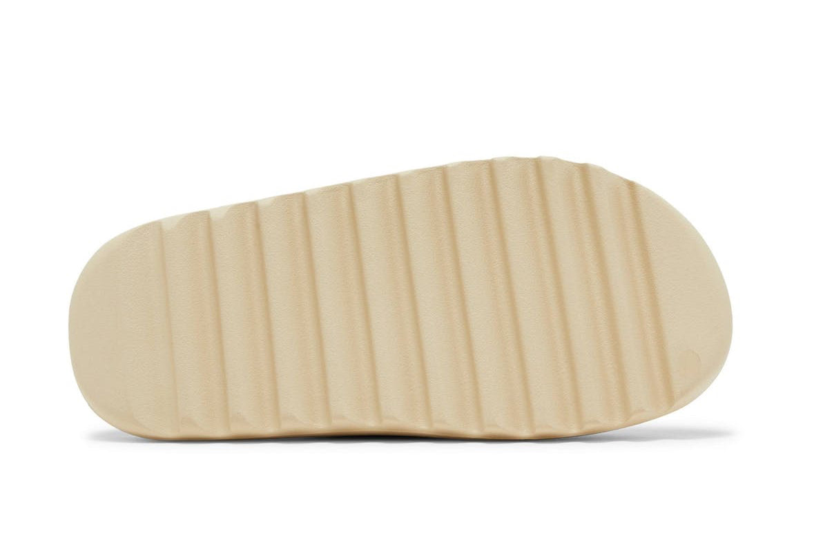 Slides Bone
