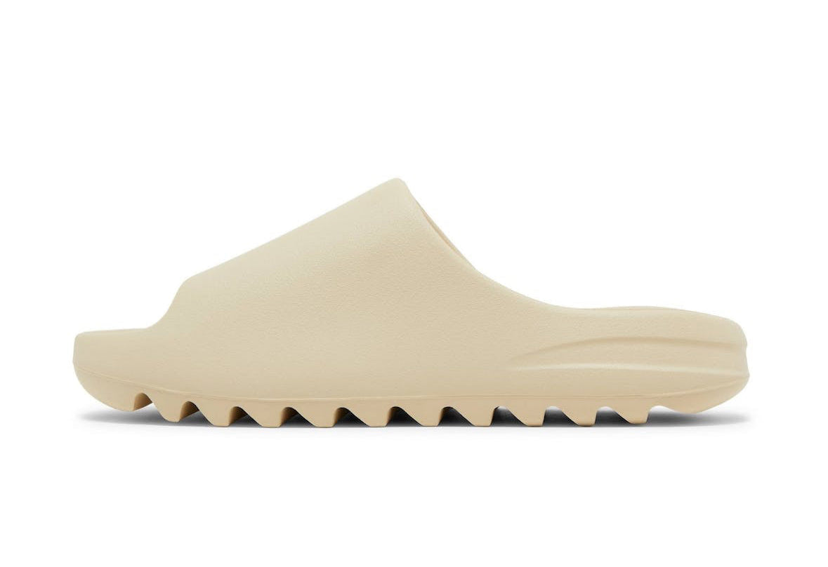 Slides Bone