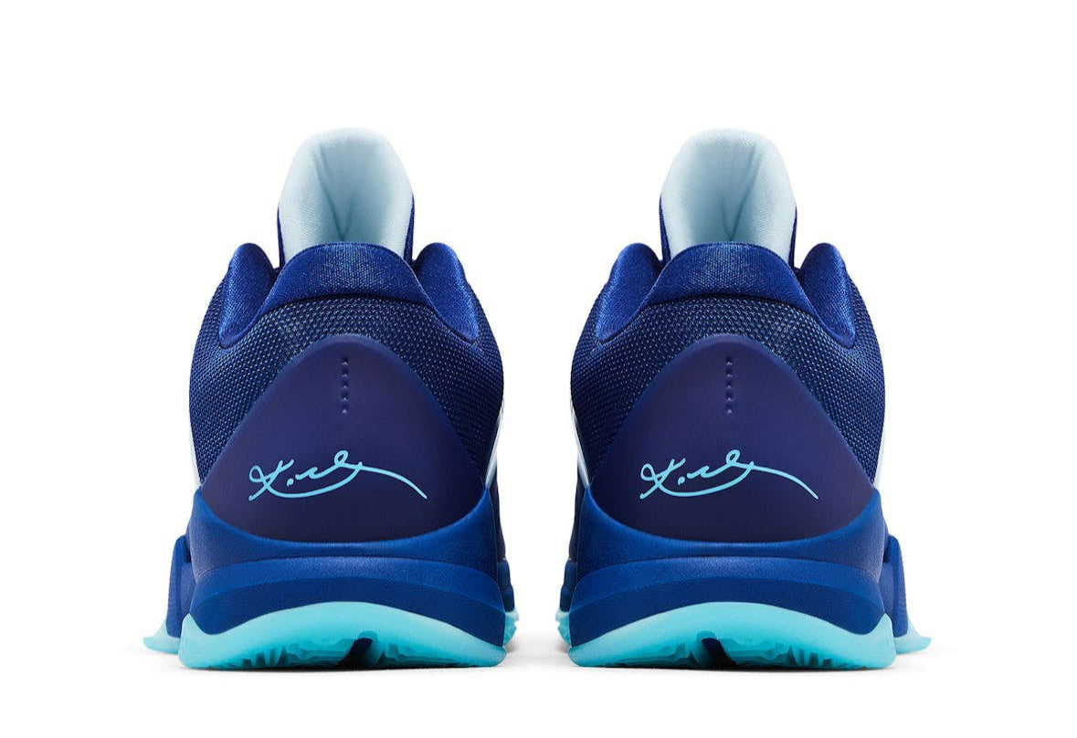 Zoom Kobe 5 Protro X Ray