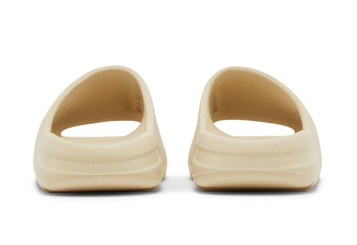 Slides Bone