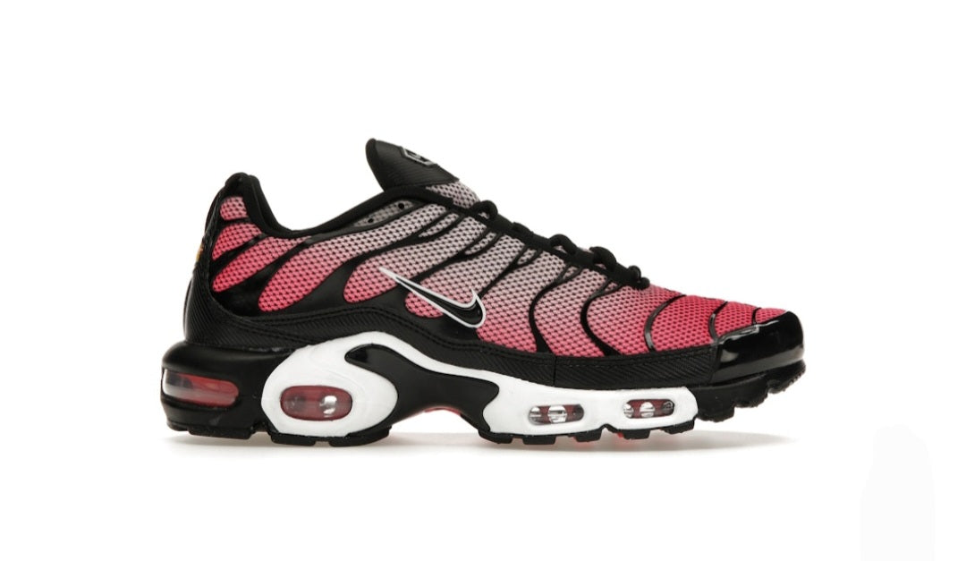 Nike Air Max Plus All Day