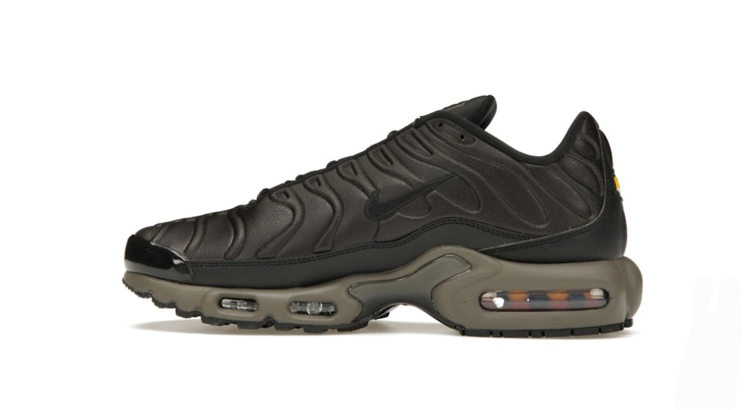 Nike Air Max Plus Premium Paris