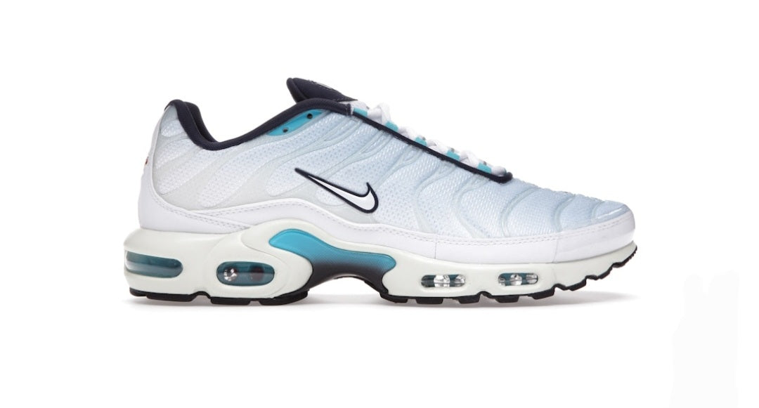 Nike Air Max Plus Psychic Blue