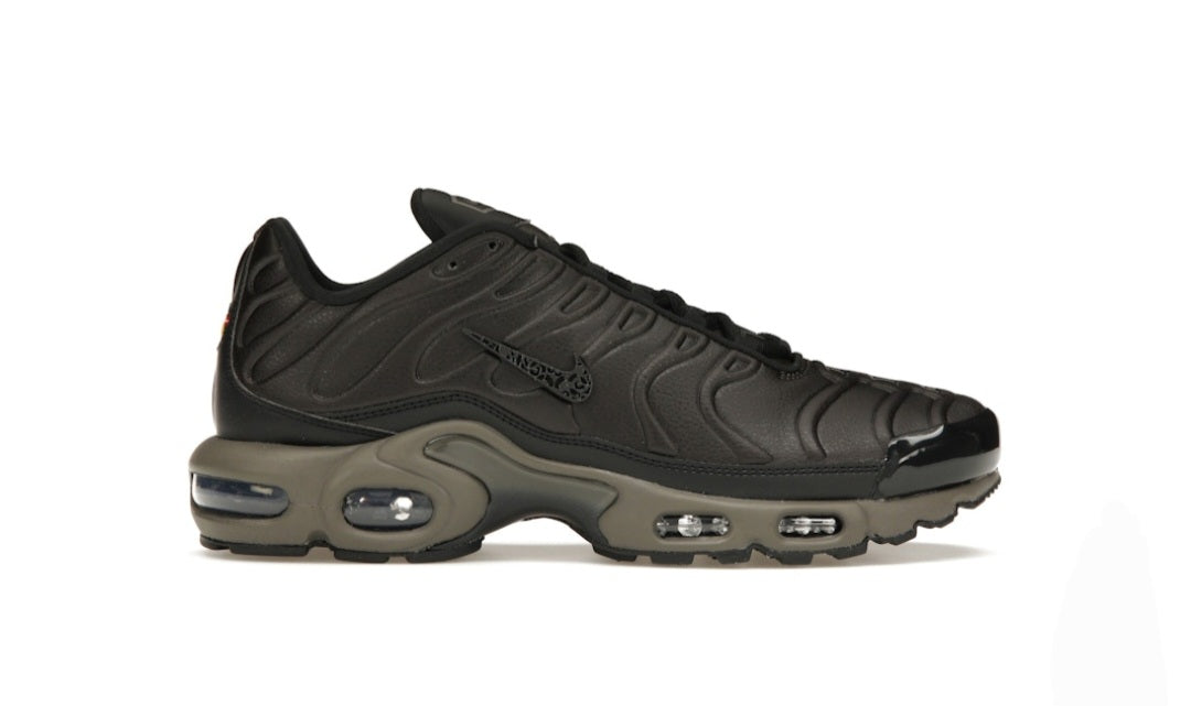 Nike Air Max Plus Premium Paris