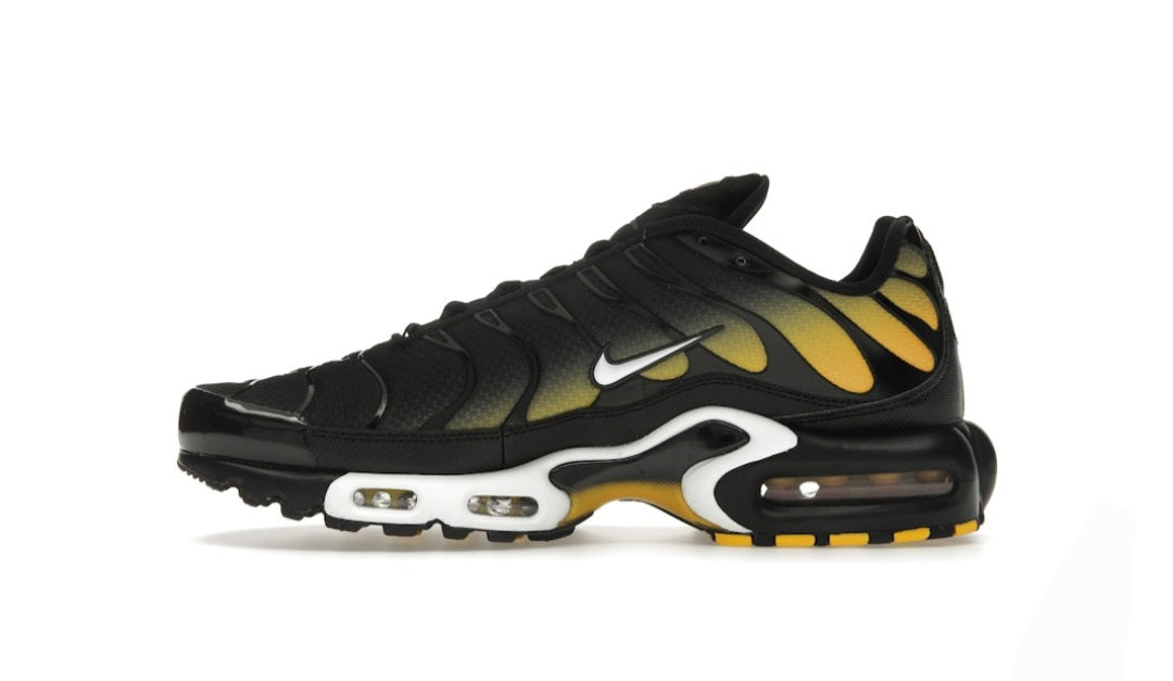 Nike Air Max Plus Black University Gold