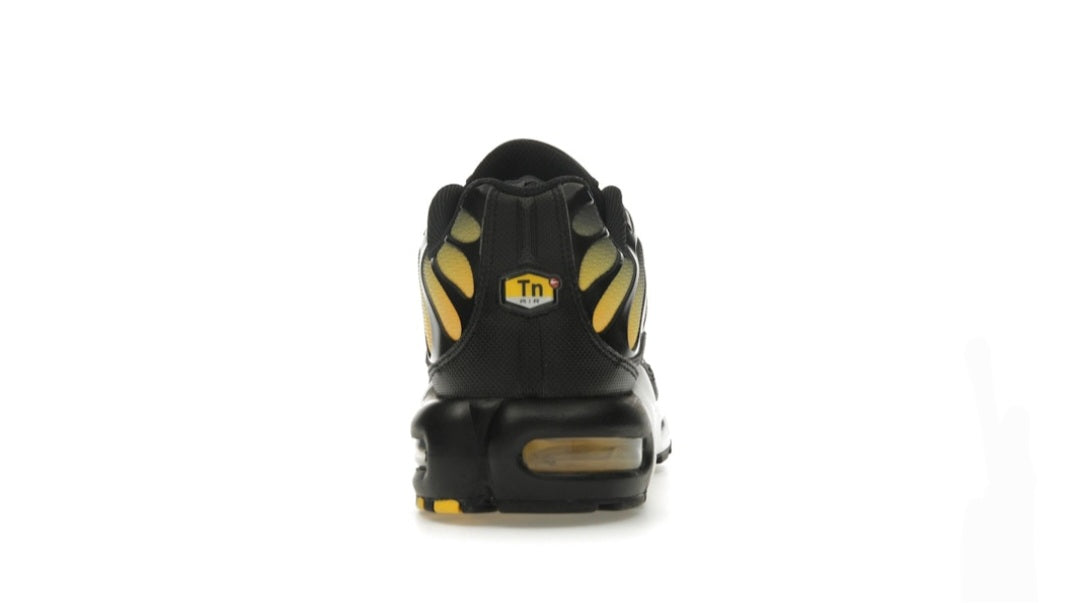 Nike Air Max Plus Black University Gold