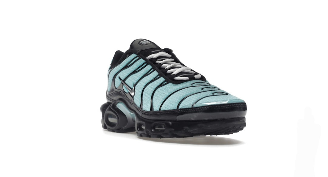 Nike Air Max Plus Aqua Sliver