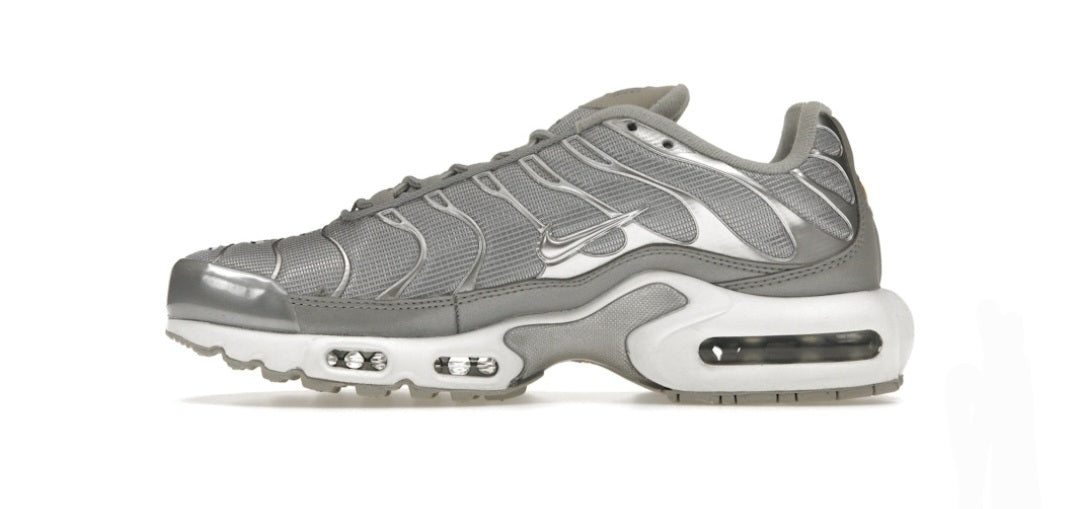 Nike Air Max Plus Metallic Silver