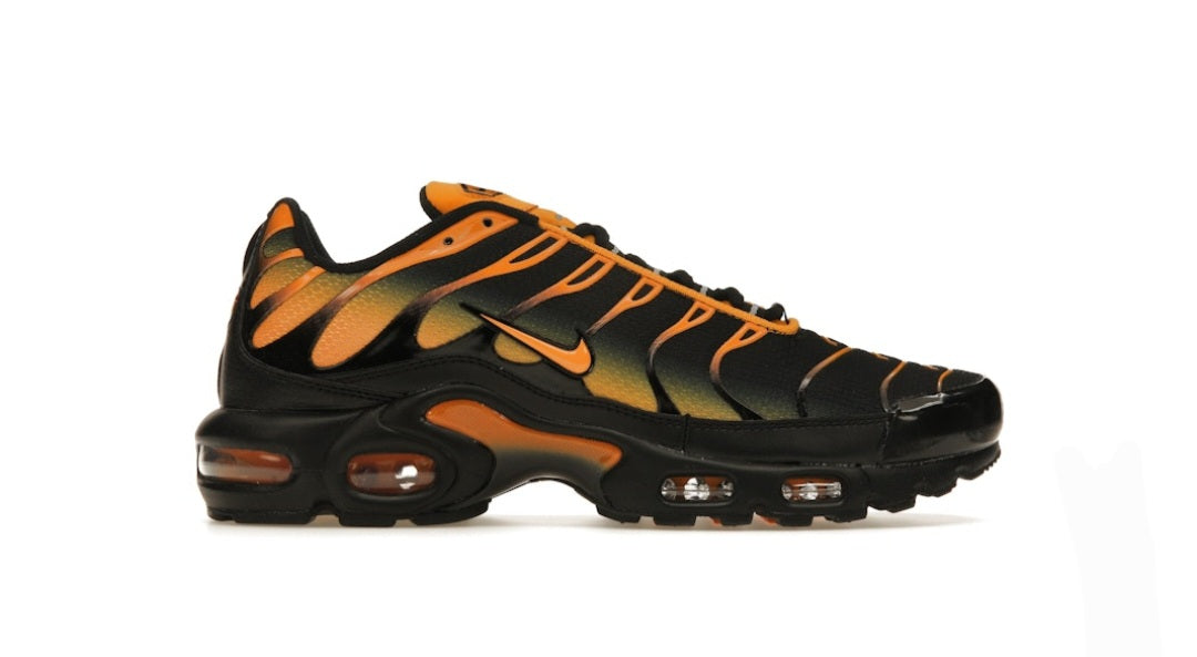 Nike Air Max Plus Black Sundial